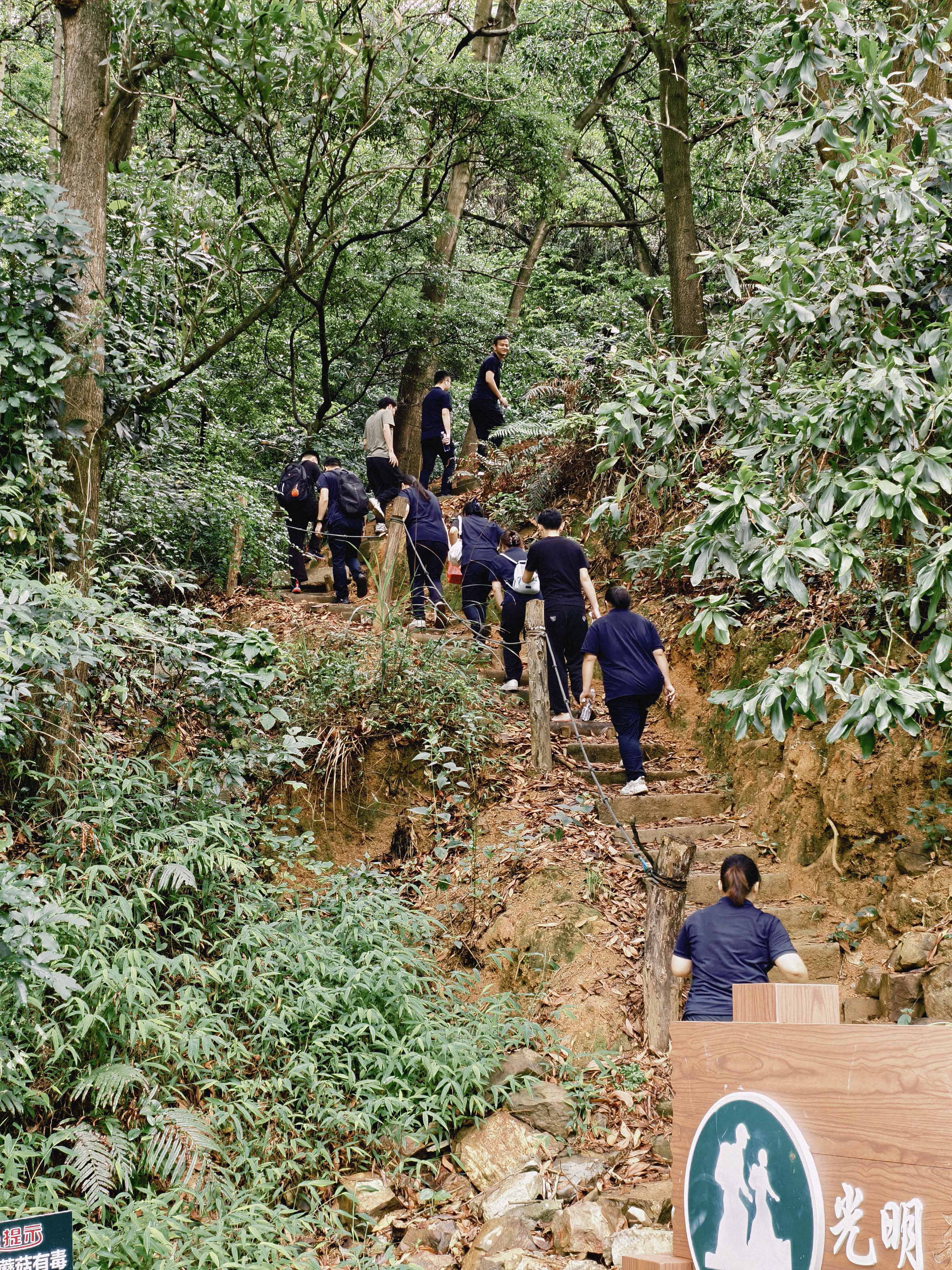 久信達科技公司員工齊聚光明區(qū)蠄蜍石，開啟活力爬山之旅暨團建活動(圖2)