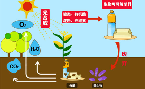 知名廠(chǎng)家?guī)銇?lái)看可降解包裝袋的市場(chǎng)優(yōu)勢(shì)(圖1)